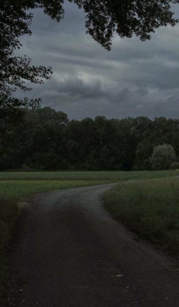  عکس جنگل تاریک زیبا