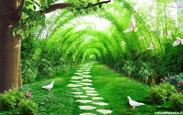  عکس جنگل شمال طبیعی