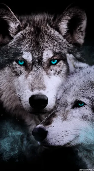  عکس حیوانات وحشی و ترسناک