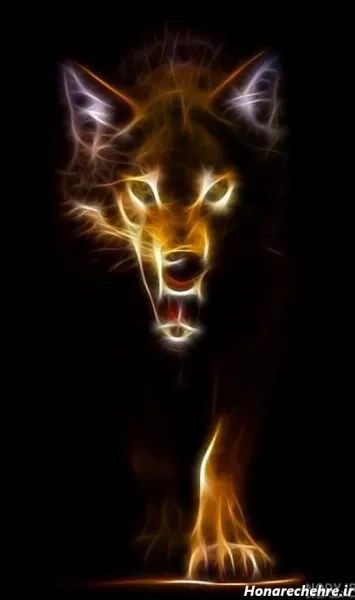  عکس حیوانات وحشی و ترسناک