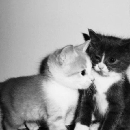  بهترین عکس های هنری جهان