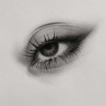  بهترین عکس های هنری جهان