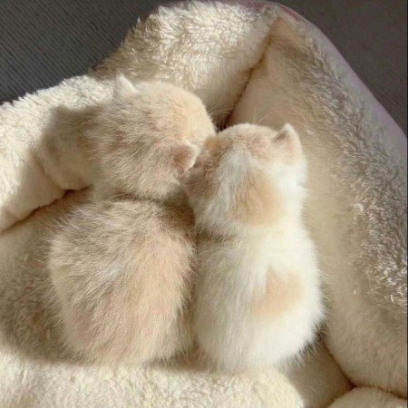  بهترین عکس های هنری جهان