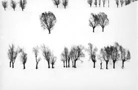  عکس های معروف ایرانی