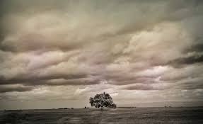  عکس های معروف ایرانی