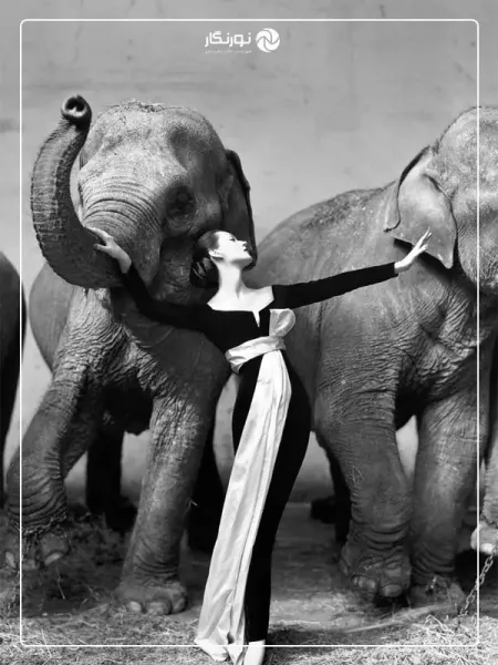  پربیننده ترین عکس جهان