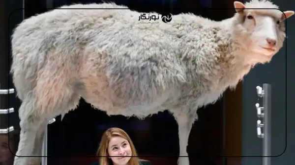  پربیننده ترین عکس جهان