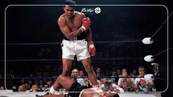 زیباترین عکس دنیا برای پروفایل