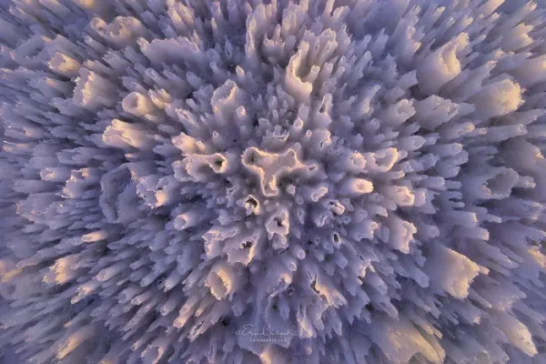  عکس های معروف طبیعت