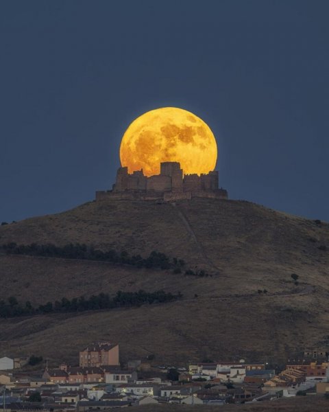  زیباترین عکس سال