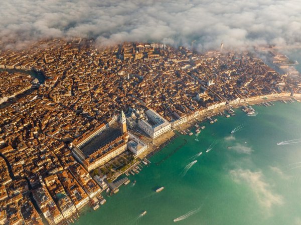  زیباترین عکس سال