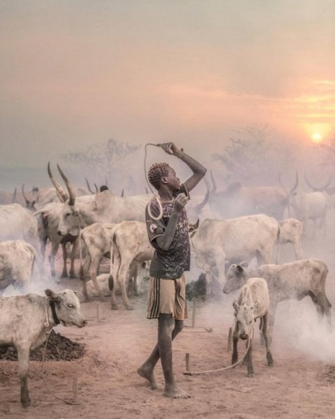  زیباترین عکس سال