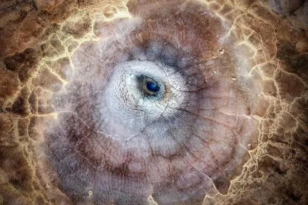  عکس سال نشنال جئوگرافیک ۲۰۲۵