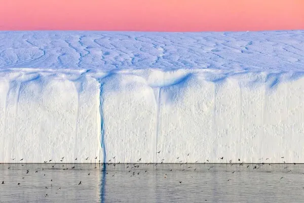  عکس سال نشنال جئوگرافیک ۲۰۲۵