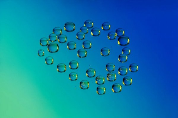  عکس سال برنده جایزه نشنال جئوگرافیک با کیفیت