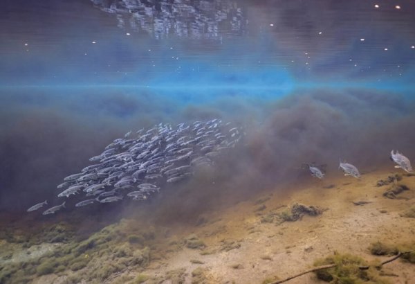  عکس های برگزیده نشنال جئوگرافیک