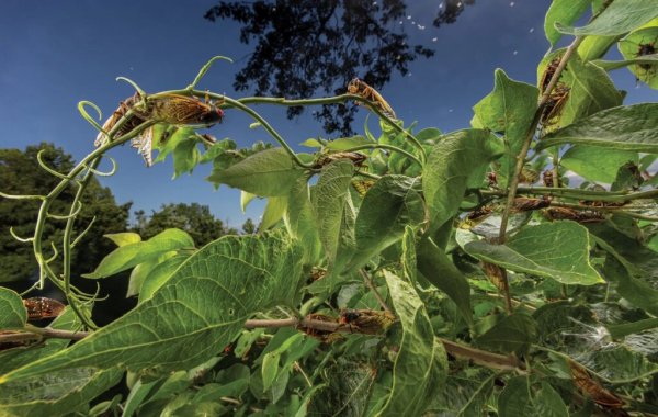  عکس های برگزیده نشنال جئوگرافیک