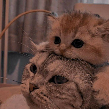  عکس های پروف گروه دوستانه