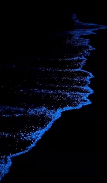  عکس بک گراند دریا