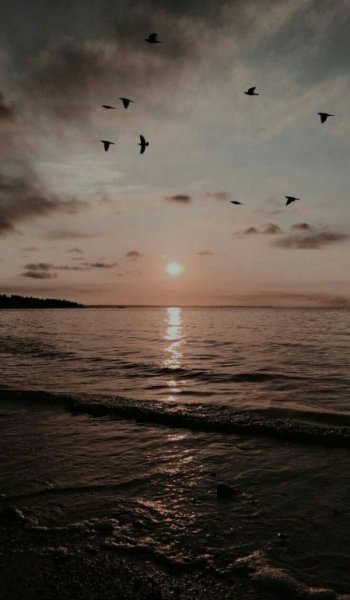  عکس بک گراند دریا