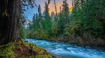  عکس رودخانه