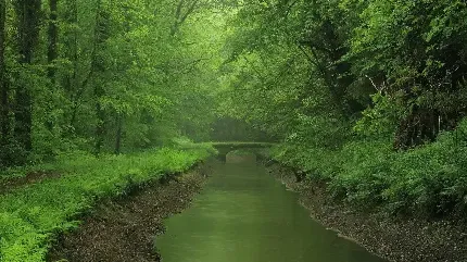  عکس رودخانه