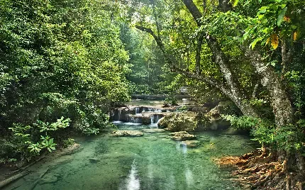  عکس رودخانه