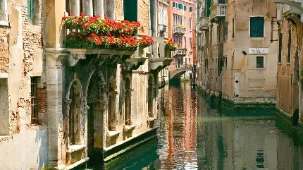  عکس رودخانه