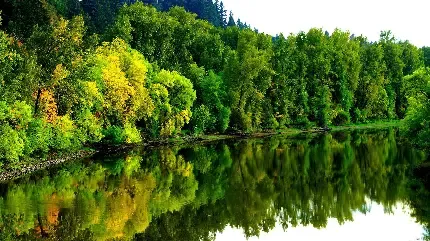  عکس رودخانه