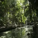  عکس رودخانه