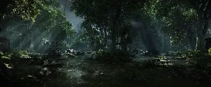  عکس رودخانه