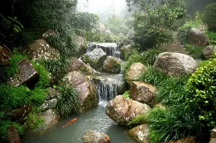  عکس رودخانه