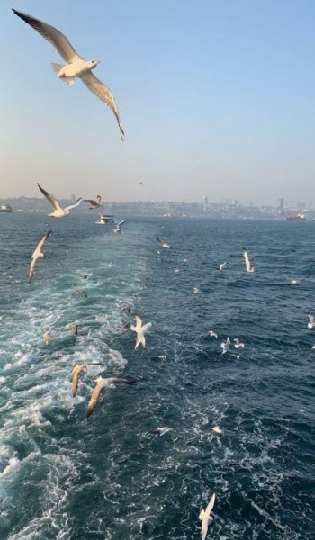  عکس های دریا دخترانه