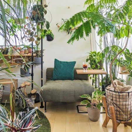  عکس گل گیاه