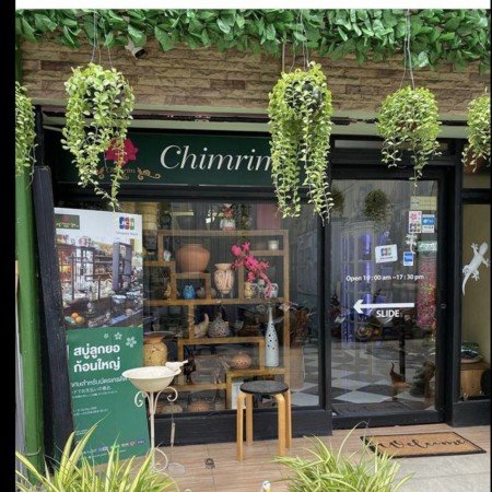  عکس گل گیاه