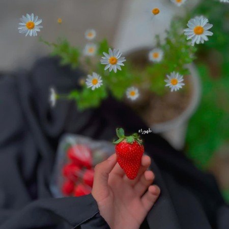  عکس گل گیاه