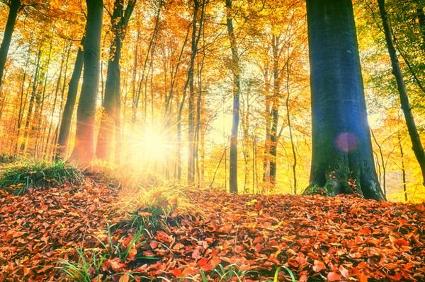  عکس طلوع خورشید در پاییز