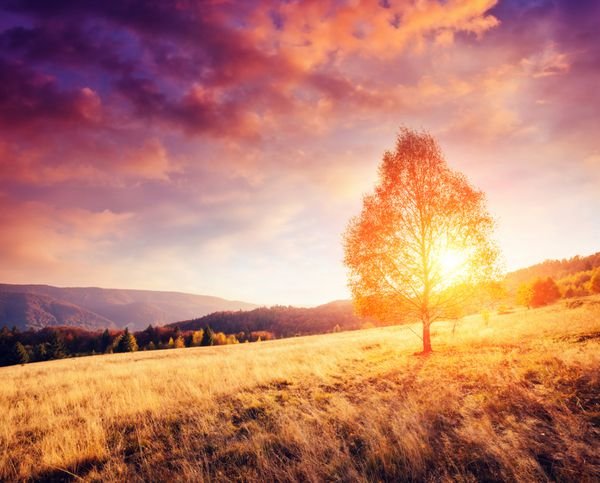  عکس طلوع خورشید در پاییز