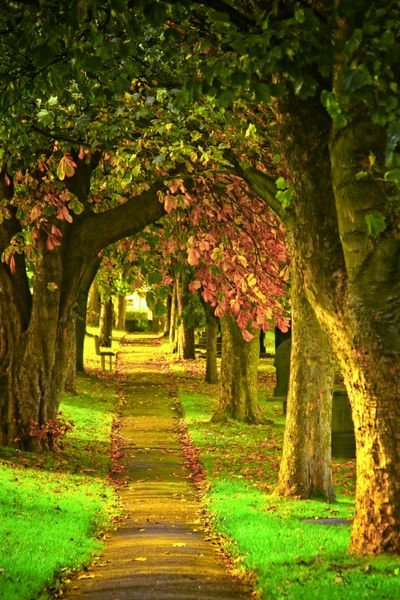  عکس طلوع خورشید در پاییز