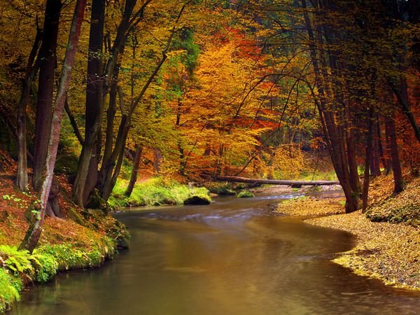  عکس طلوع خورشید در پاییز