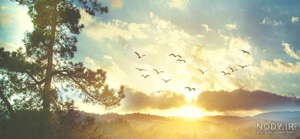  عکس طلوع خورشید از پشت پنجره