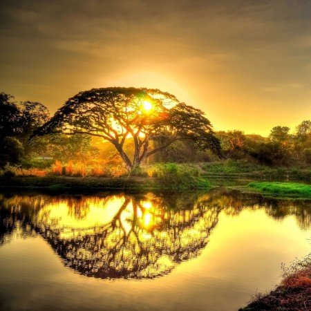  عکس طلوع خورشید برای پروفایل