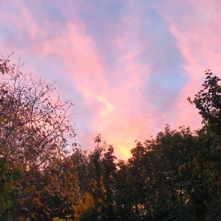  عکس طلوع خورشید برای پروفایل