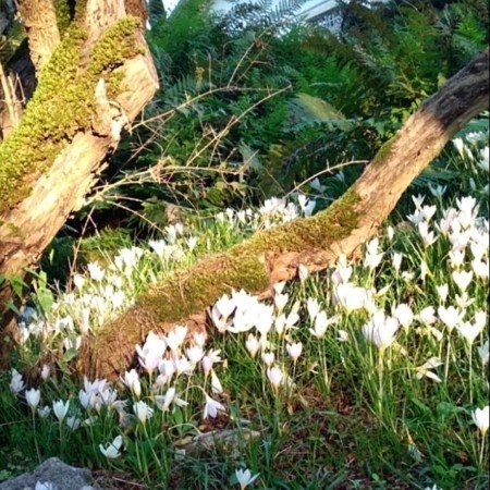  عکس طلوع خورشید برای پروفایل