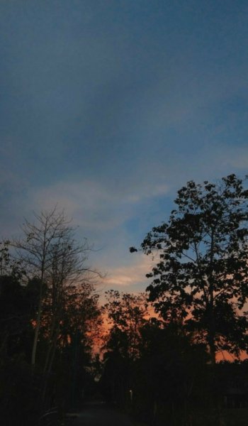  عکس طلوع خورشید برای پروفایل