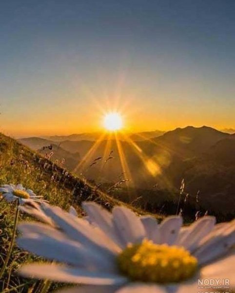  عکس طلوع خورشید صبح