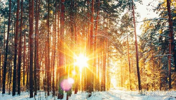  عکس طلوع خورشید با کیفیت بالا