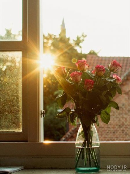  عکس طلوع خورشید با کیفیت بالا