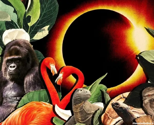  عکس خورشید گرفتگی در ایران