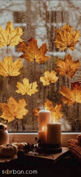 عکس صبح بارانی پاییزی